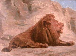 Lion